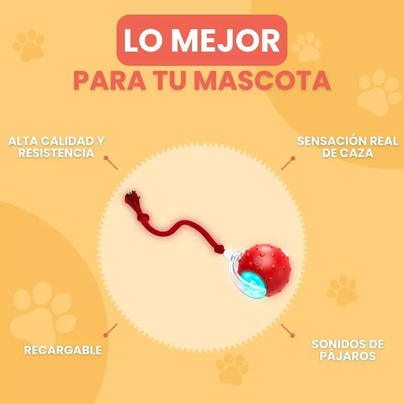 2 Pelotas interactivas de mascota (perro o gato)