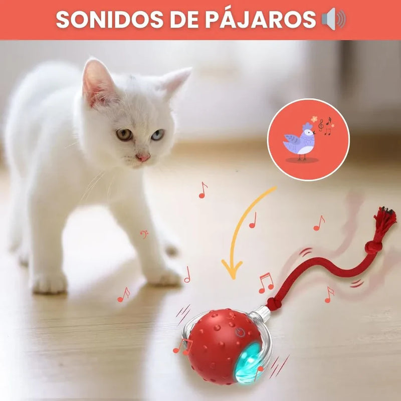 2 Pelotas interactivas de mascota (perro o gato)